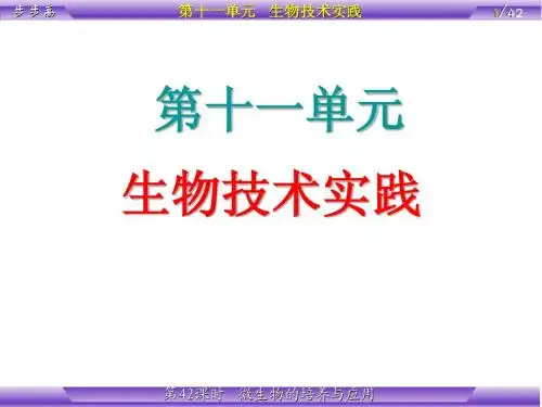 第11单元  第42课时 微生物的培养与应用3.13
