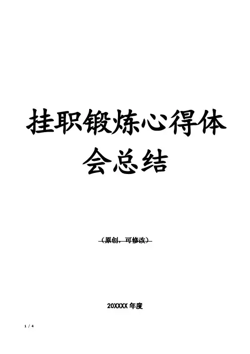 挂职锻炼心得体会 3