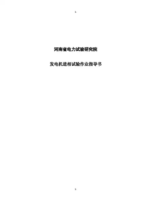 发电机进相试验作业指导书