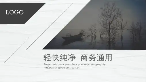 纯净简洁商务通用