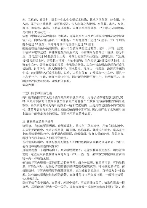 莲