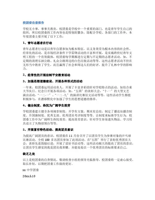 校团委自查报告