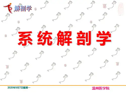 《系统解剖学》教学课件：1绪论