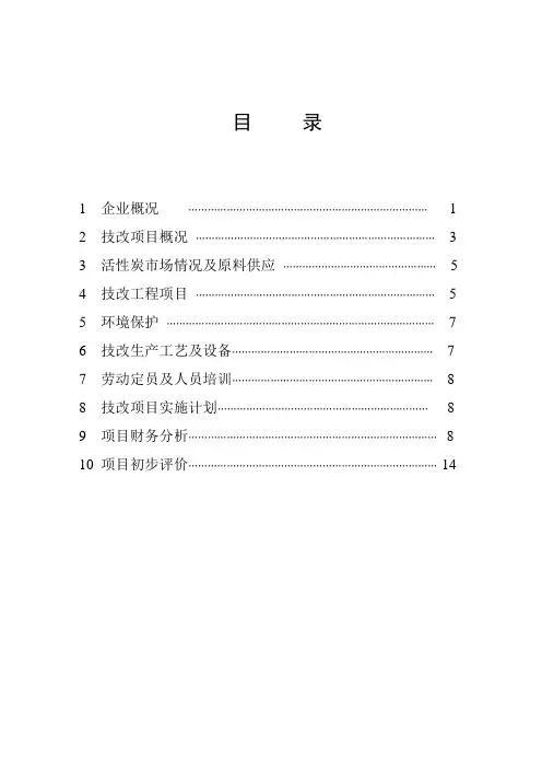 技改项目可行性报告