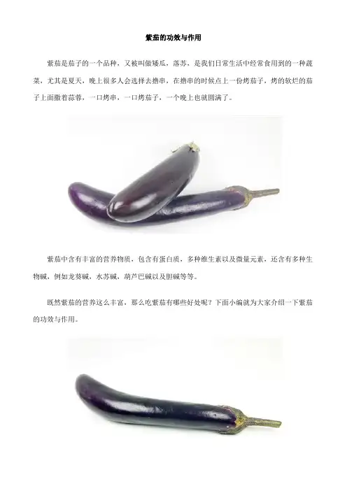紫茄的功效与作用