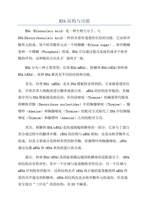 RNA结构与功能
