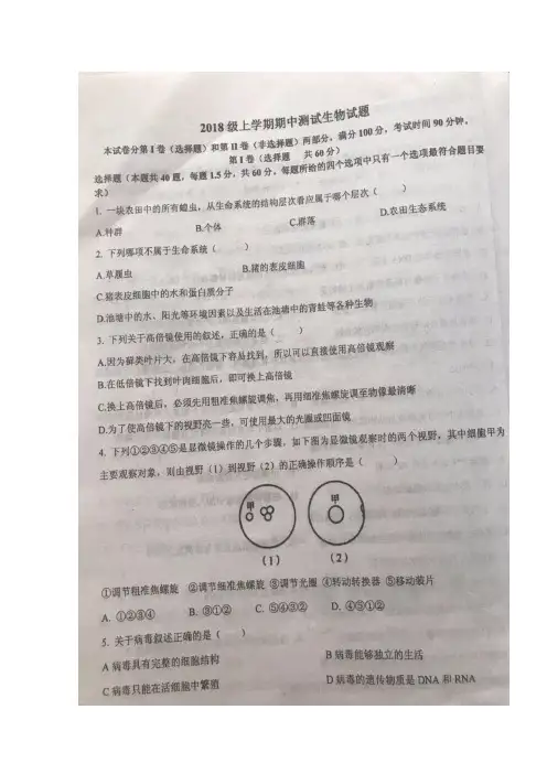 山东省桓台县第二中学2018-2019学年高一上学期期中考试生物试题