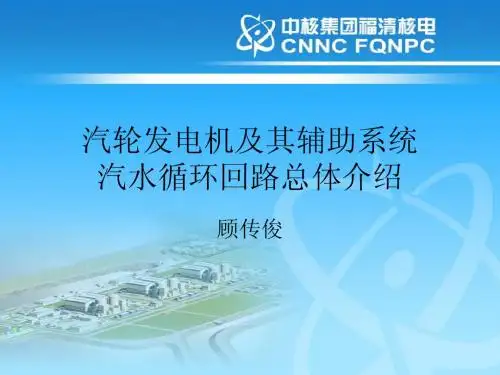 汽轮发电机及其辅助系统