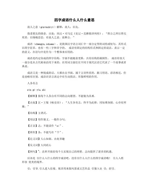 四字成语什么人什么意思