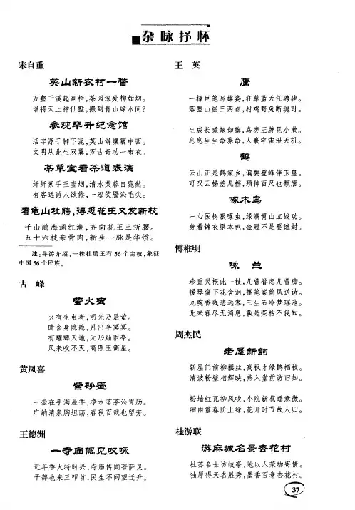 紫砂壶