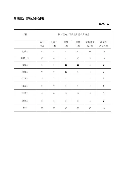 附表三:劳动力计划表