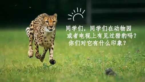 部编版语文五年级上册7什么比猎豹的速度还快公开课PPT课件