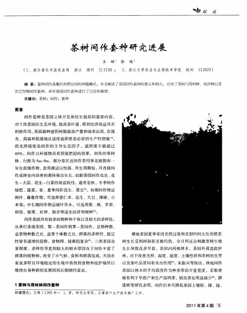 茶树间作套种研究进展