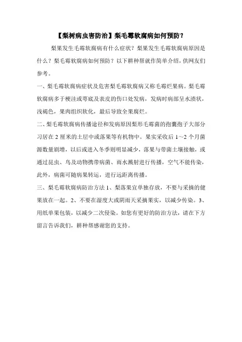 【梨树病虫害防治】梨毛霉软腐病如何预防？