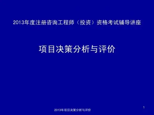 2013项目决策分析与评价