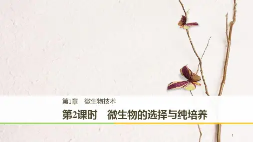 高中生物 第1章 微生物技术 第2课时 微生物的选择与纯培养同步备课课件 北师大版选修1.pptx