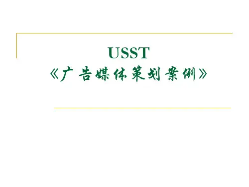 广告媒体策划案例全解