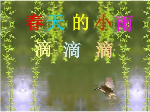 春天的小雨滴滴滴课件