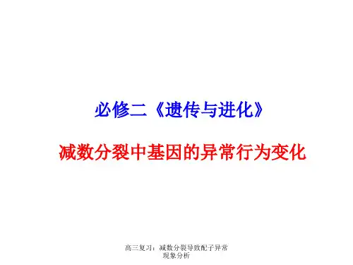 高三复习:减数分裂导致配子异常现象分析