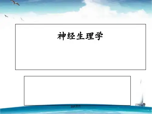 神经生理学  ppt课件