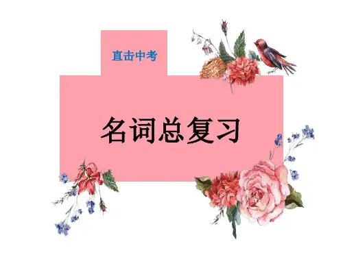 词性:名词总复习