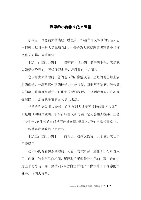 我家的小狗作文范文五篇