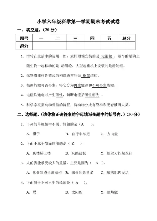 人教版小学六年级科学上册期末考试试卷(附答案)