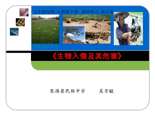 科学·技术·社会 生物入侵及其危害 (3)