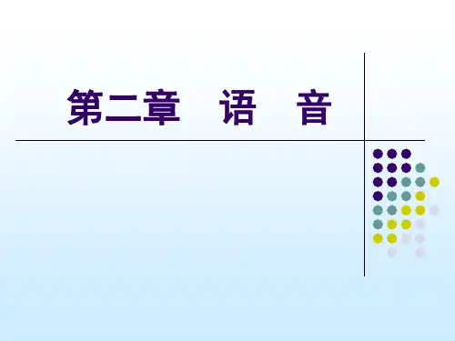 新乡学院精品课程教师口语课件第二章语音
