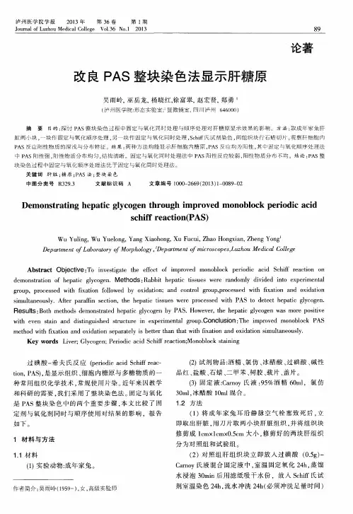 改良PAS整块染色法显示肝糖原