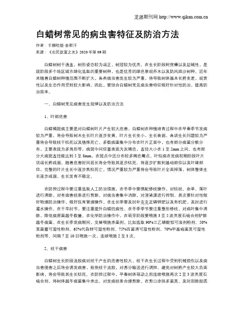白蜡树常见的病虫害特征及防治方法