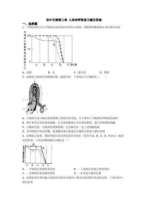 初中生物第三章 人体的呼吸复习题及答案