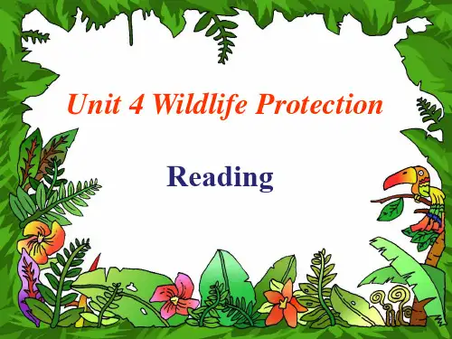 人教版高一英语必修二 Unit 4 WIldlife protection Reading 课件(共19张PPT)