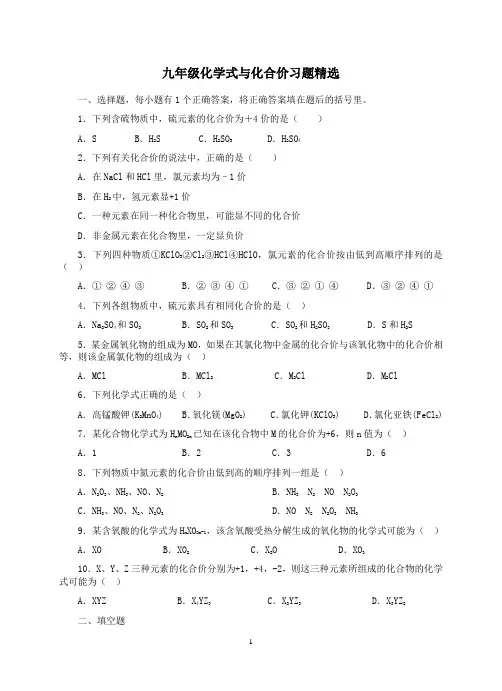 九年级化学式与化合价习题精选