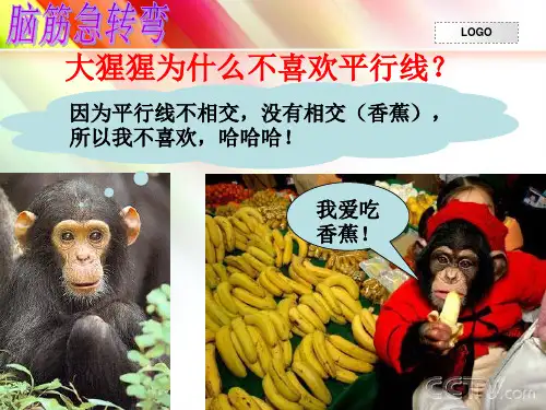 相交线与平行线复习课资料
