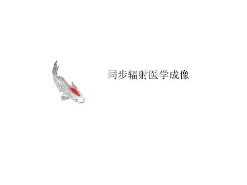 同步辐射医讲义学成像