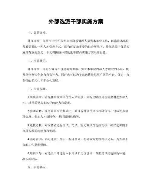 外部选派干部实施方案