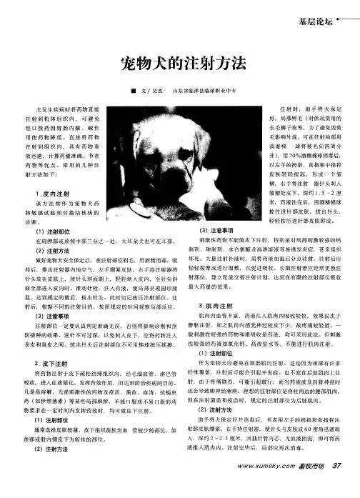 宠物犬的注射方法