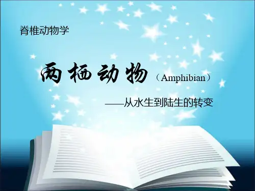 两栖纲概述
