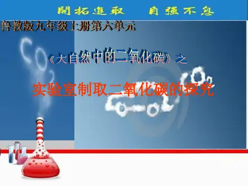 实验室制取二氧化碳的探究