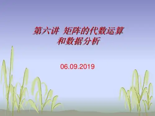 第六讲 矩阵的代数运算和数据分析-22页文档