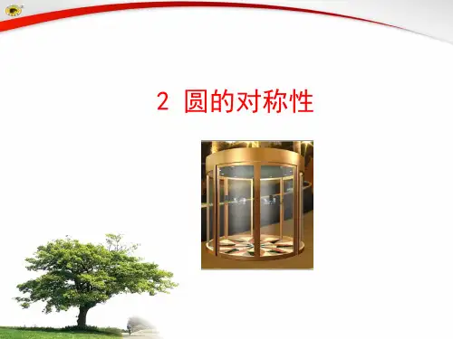 圆的对称性