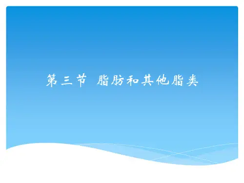 食品营养学脂肪