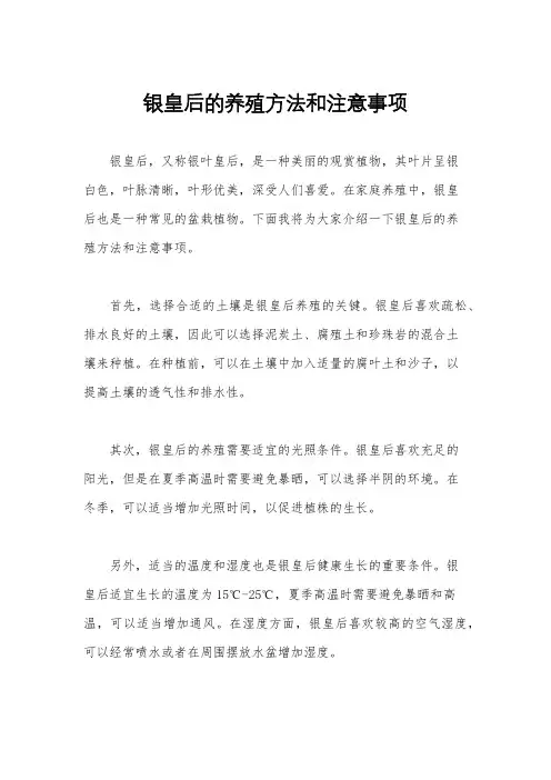 银皇后的养殖方法和注意事项 2