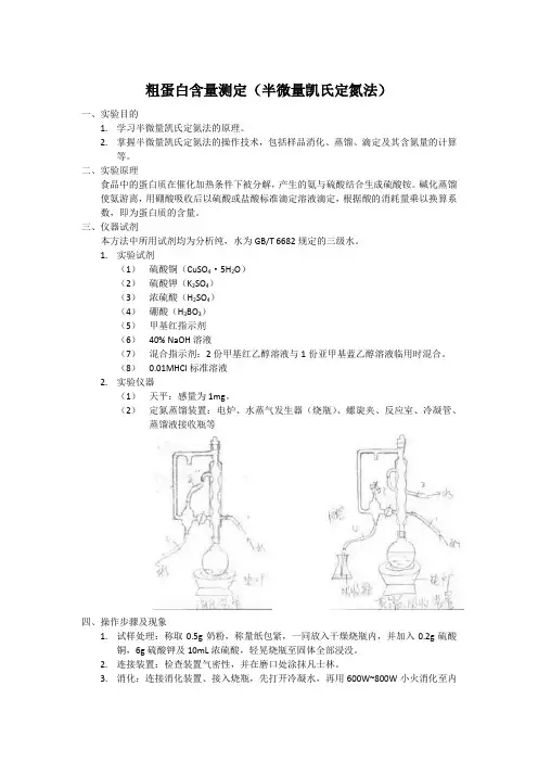 凯氏定氮