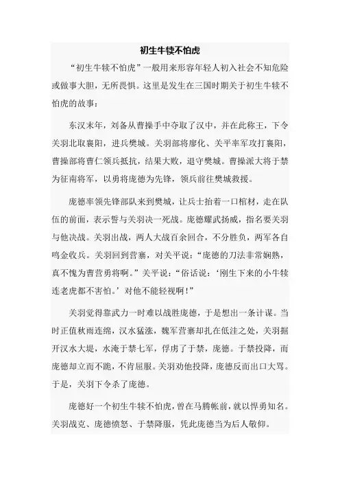 初生牛犊不怕虎