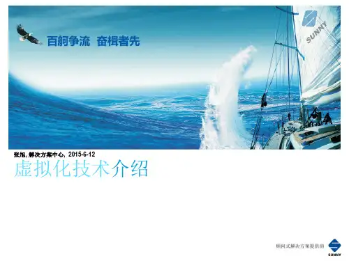 虚拟化技术的介绍最新版