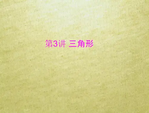 春学期中考数学复习 人教版 第3讲《三角形》考点透析ppt课件