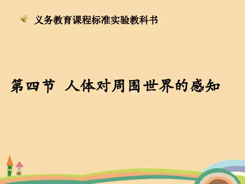七年级生物视觉的形成PPT教学课件