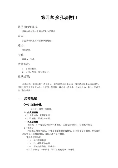 多孔动物门